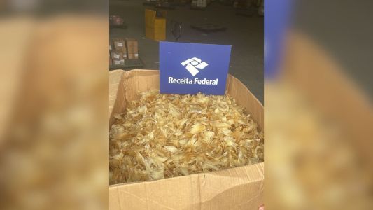 Reeceita Federal apreende 100 kg de barbatanas de tubarão em São Paulo | CNN Brasil