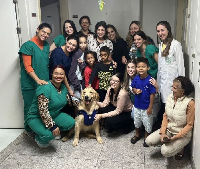 Cão levou alegria e bem-estar às crianças internadas e proporcionou momentos de descontração Cão levou alegria e bem-estar às crianças internadas e proporcionou momentos de descontração