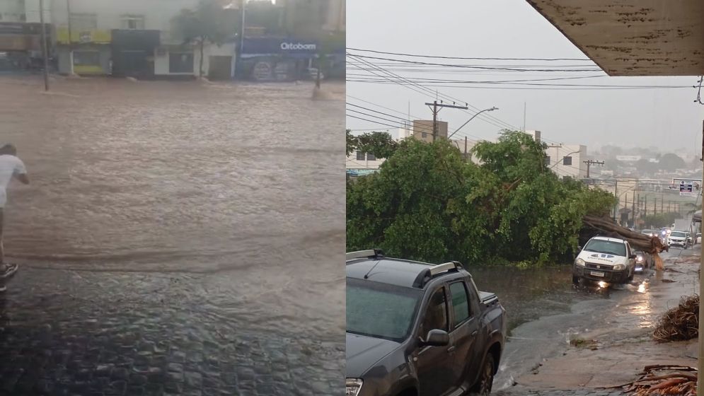 Vídeo: temporal causa enchentes e deixa rastros de destruição em Uberlândia