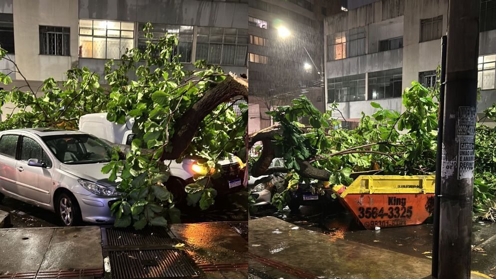 Região de BH registra quase 20% da chuva esperada para novembro em um dia