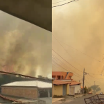 Incêndio em mata se espalha rapidamente e assusta moradores em Contagem, na Grande BH