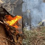 Piloto morre em queda de avião de combate a incêndios florestais em Ouro Preto (MG)