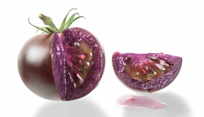 Tomate roxo é rico em antocianinas