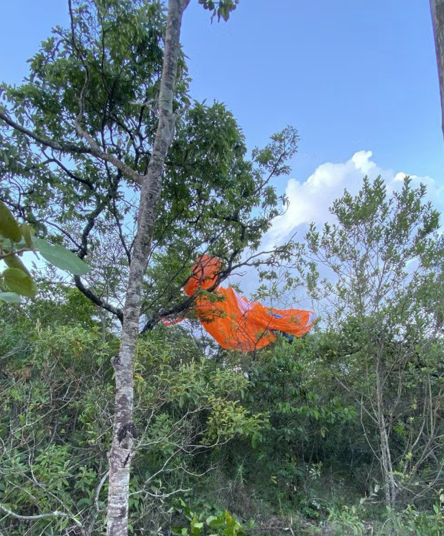Árvore onde o paraglider caiu 