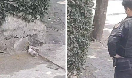Vídeo: suspeita de bomba mobiliza Bope no União, em BH