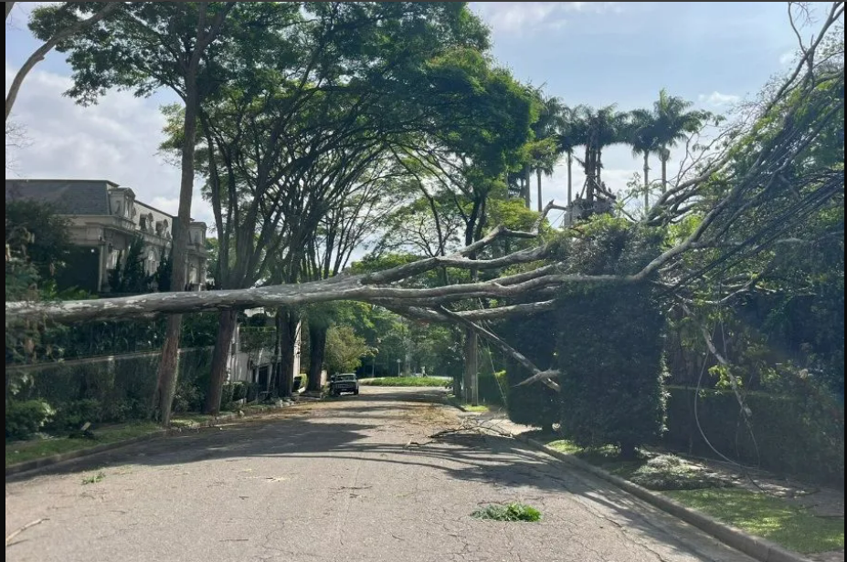 São Paulo tem chuva fraca e 111 mil clientes ficam sem energia elétrica neste sábado (19)