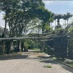 São Paulo tem chuva fraca e 111 mil clientes ficam sem energia elétrica neste sábado (19)