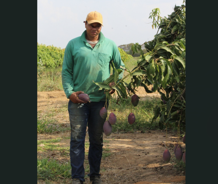 O encarregado Alan na fazenda Lote 524
