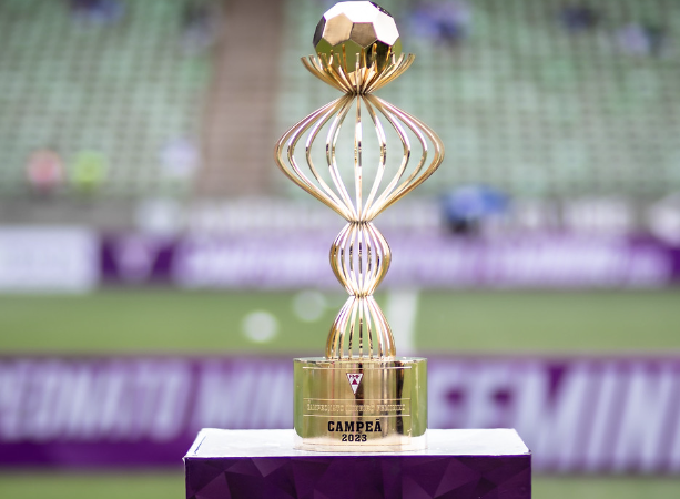 Campeonato Mineiro Feminino: veja datas e horários das semifinais