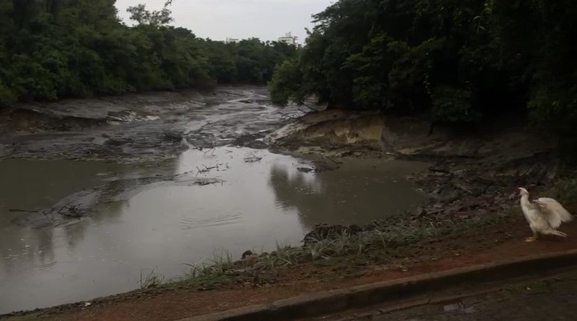 Chuva em BH: Lagoa do Nado fica praticamente sem água após rompimento; veja vídeo