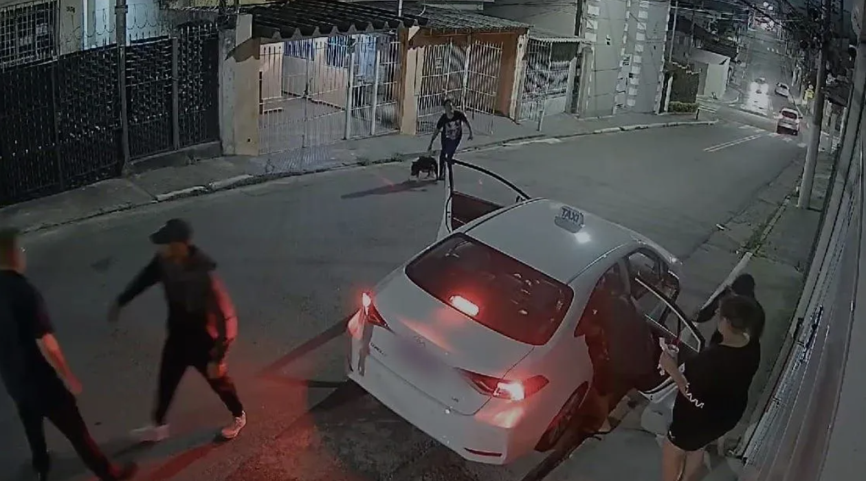 Vídeo: mulher solta pitbull atrás de criminosos e impede assalto a familiares em SP