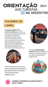 Cartilha do Torcedor - Final da Libertadores