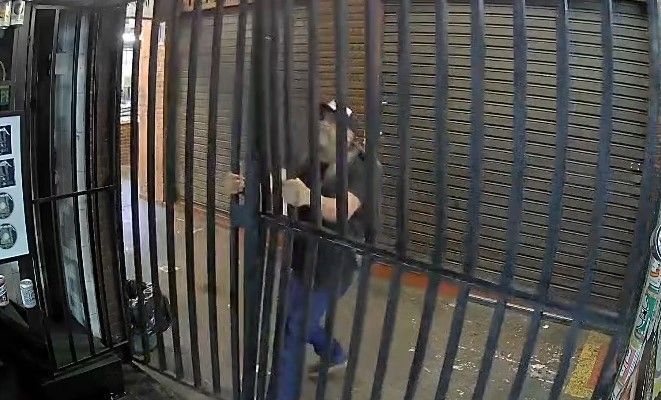 Vídeo: Homem arromba loja e furta notebook e bicicleta no Mercado Novo, em BH