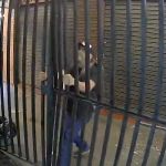 Vídeo: Homem arromba loja e furta notebook e bicicleta no Mercado Novo, em BH