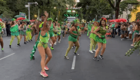 Imagens do bloco 'Chama o Síndico' nesta quarta-feira (26)