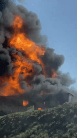 Veja imagens do incêndio