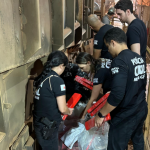 Polícia Civil incinera mais de 220 quilos de drogas em Poços de Caldas