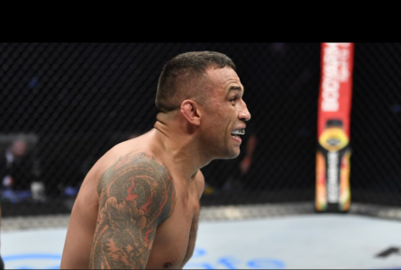 Fabricio Werdum em ação pelo UFC