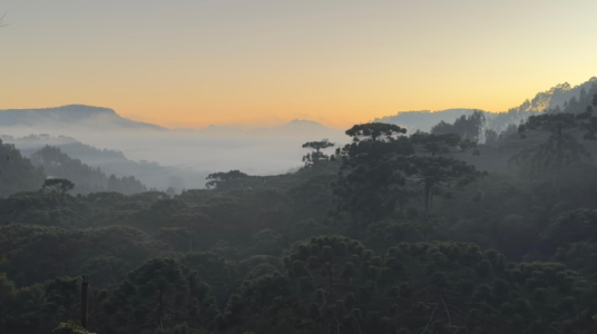 A tendência é esfriar ainda mais: uma nova frente fria deve chegar nos próximos dias, derrubando as temperaturas aqui no Sudeste.
