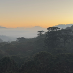 Monte Verde registra início de março mais frio dos últimos 26 anos