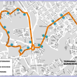'Lei do pet no ônibus' ganha reforço com nova linha em Curitiba; saiba mais