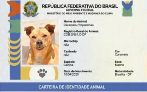 Cadastro é gratuito e pode ser feito pelo site do programa, por meio de uma conta gov.br