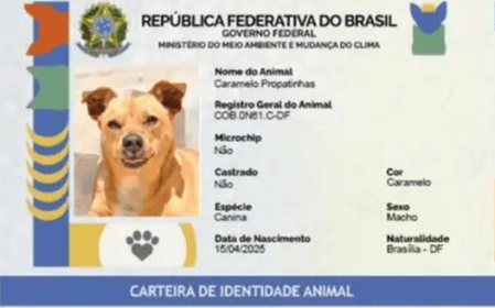 Cadastro é gratuito e pode ser feito pelo site do programa, por meio de uma conta gov.br