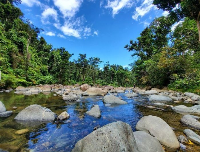 Floresta Nacional de El Yunque