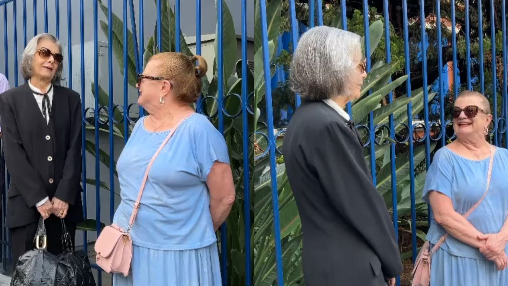 'BH é um ovo?' Em fila, Ministra do STF, Cármen Lúcia e eleitora descobrem amigo em comum; veja
