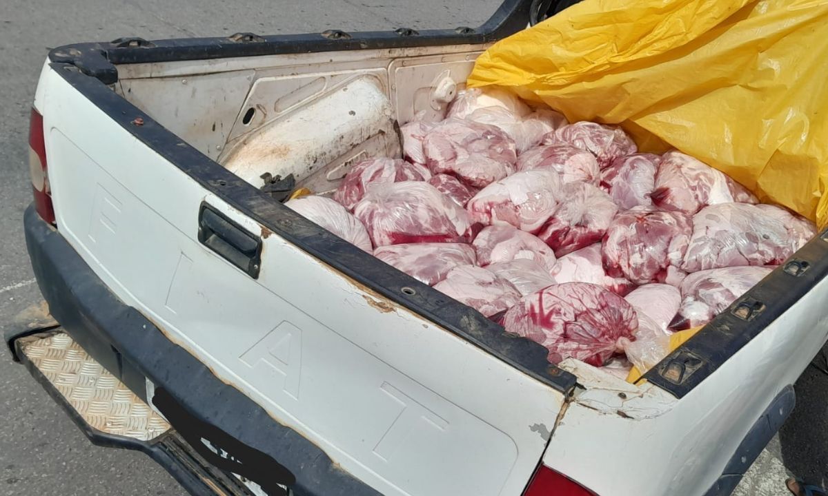 Quase 500 kg de carne imprópria para consumo são apreendidos pela PMR na MG-265