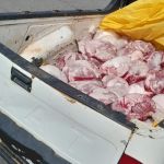 Quase 500 kg de carne imprópria para consumo são apreendidos pela PMR na MG-265