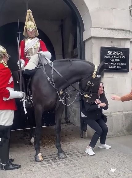 Após a mordida do cavalo da Guarda Real, uma pessoa tenta ajudá-la, com uns tapinhas delicados no nariz do cavalo para soltar a senhora. 