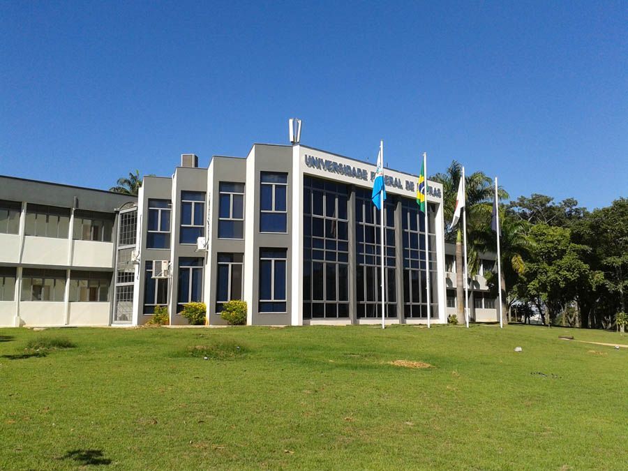 Pesquisa da UFLA propõe uso de câmeras de celular para avaliar azeite