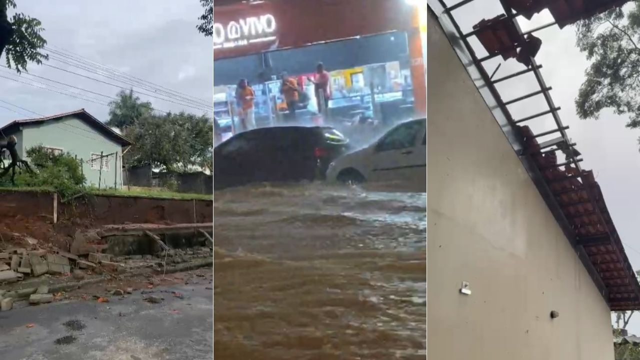 Chuva provoca 28 quedas de árvores e 42 ocorrências de pessoas ilhadas em Belo Horizonte
