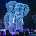 Dia do Circo reforça o debate sobre o desuso de animais em espetáculos