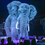 Dia do Circo reforça o debate sobre o desuso de animais em espetáculos