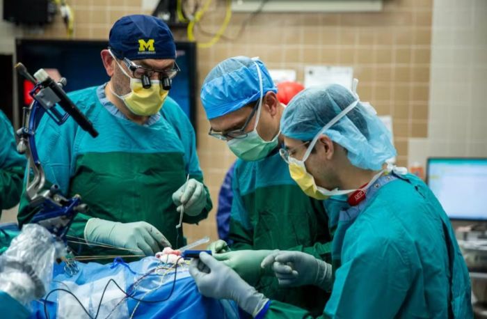 Chip foi implantado e removido do cérebro de um paciente. Chip foi implantado e removido do cérebro de um paciente.