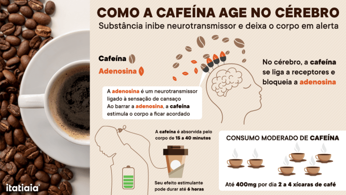 Ação da cafeína no cérebro