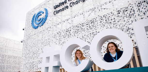 COP 29.png