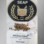 Mulher tenta entrar em presídio com droga escondida em salsichas no RJ