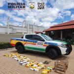 Mais de 160 pássaros foram apreendidos dentro de um carro em Varginha
