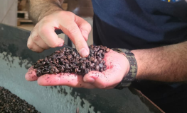 Veja fotos da operação no RJ de café impróprio