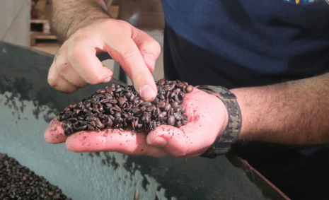 Veja fotos da operação no RJ de café impróprio