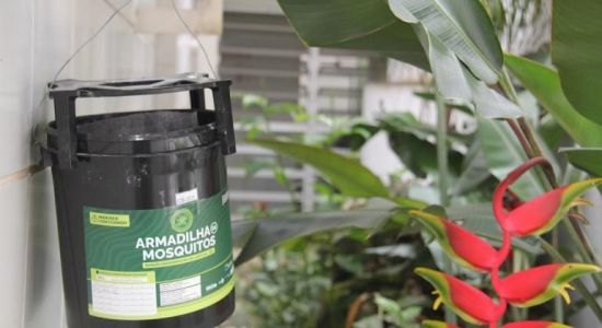 Estações disseminadoras de larvicida são instaladas para ampliar combate à dengue