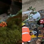 Homem em situação de rua é resgatado após cair de altura de 10 metros em córrego de MG; veja imagem