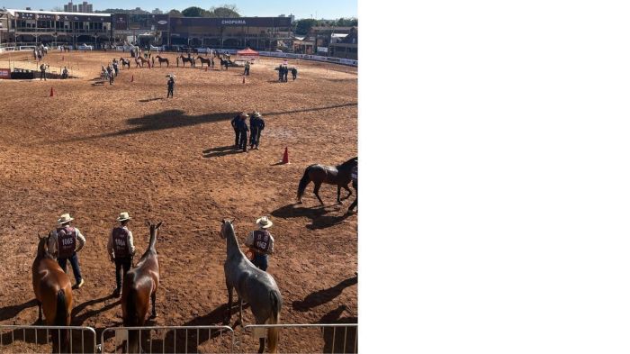 42ª Exposição Nacional do Cavalo Mangalarga Marchador