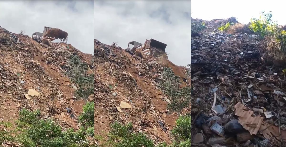 Moradores denunciam 'lixão' que acumula animais mortos em Mateus Leme, na Grande BH