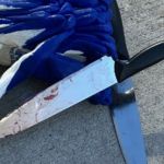 Ataques com faca deixam dois mortos e uma pessoa gravemente ferida em Nova York