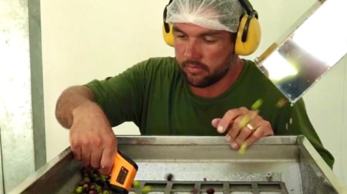 André Goelzer, mestre lagareiro da Estância das Oliveiras 