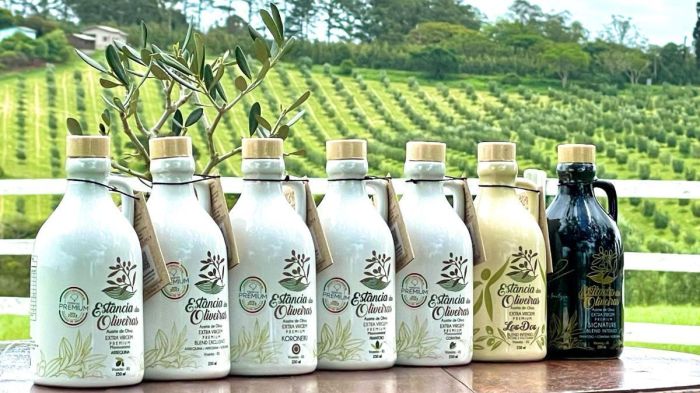 Embalagens de cerâmica do azeite Estância das Oliveiras